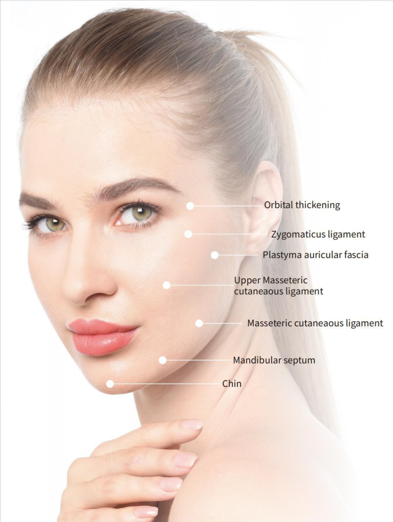 نواحی تزریقReYoungel HydroPro